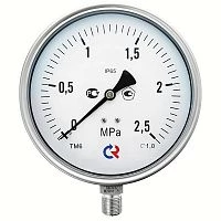 ТМ-621Р.00(0-6)MPa.М20х1,5.1,0  СИЛИКОН УТ000006821