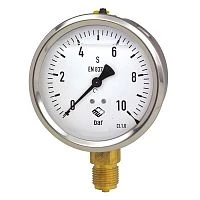 RChg G 100-1 16 bar M20x1,5 Глицерин УТ000015766